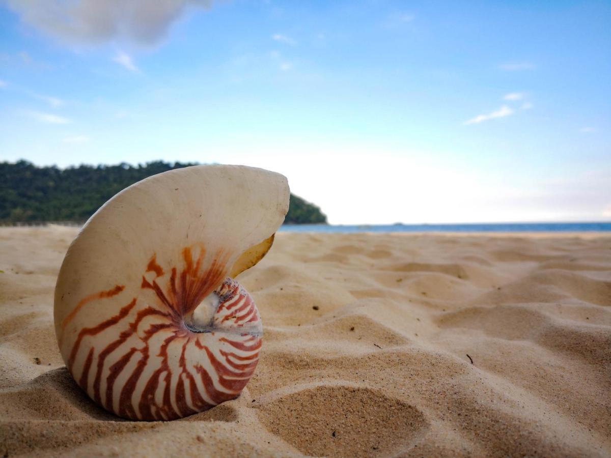 Bushman Tioman Hotel Kampong Juara Luaran gambar
